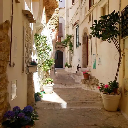 Apartmán Casa Fenice Sperlongaresort